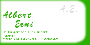 albert erni business card